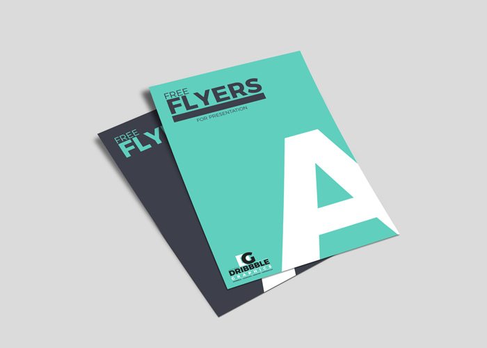 fly_box_1